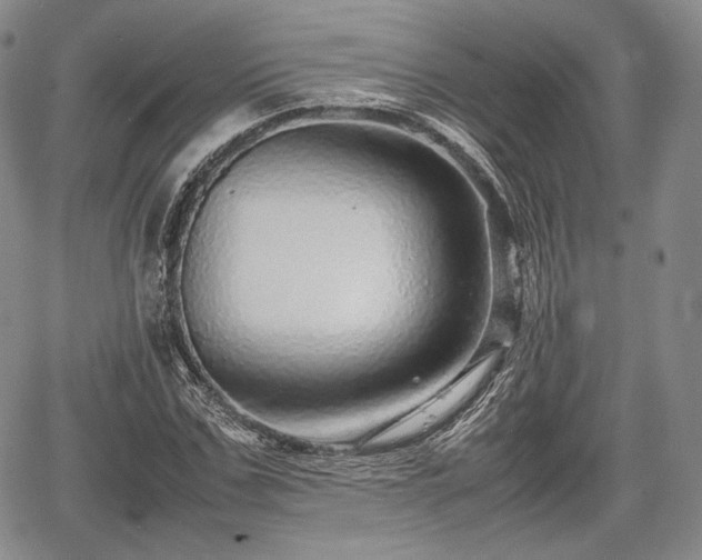 X0000067910971200604171334