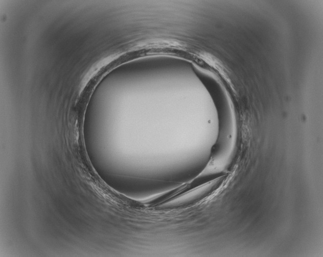 X0000067910973200604171334