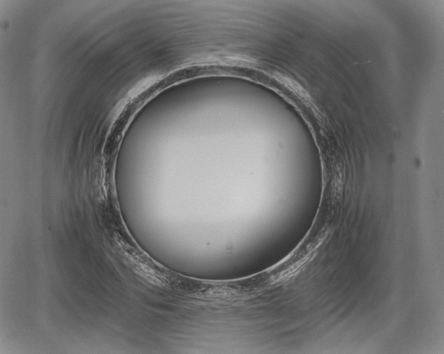 X0000067910974200604171334