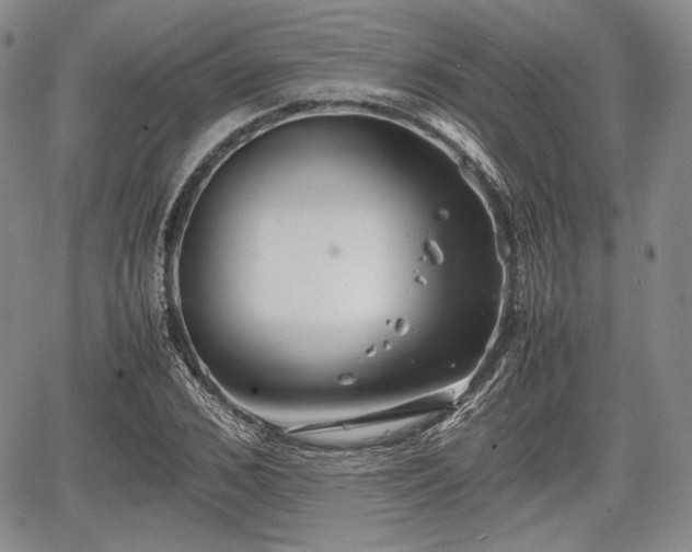 X0000067910976200604171334