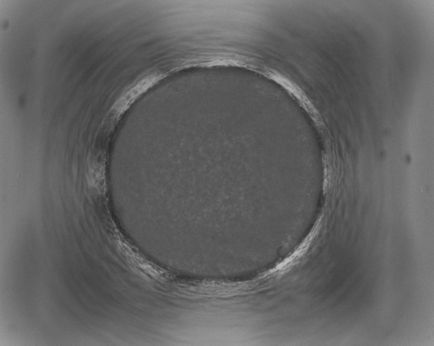 X0000067910977200604171334