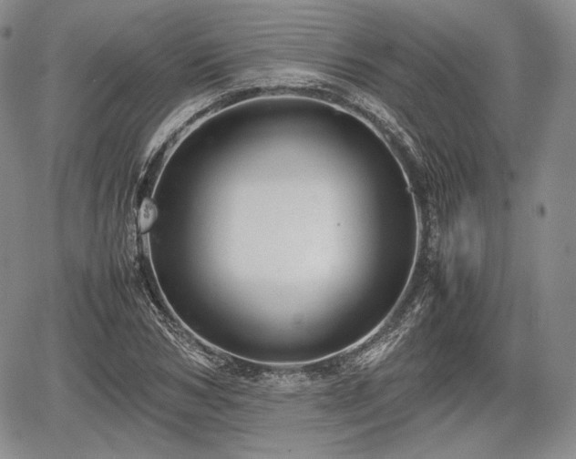 X0000067910978200604171334