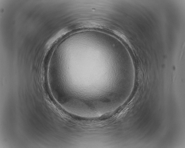 X0000067910979200604171334