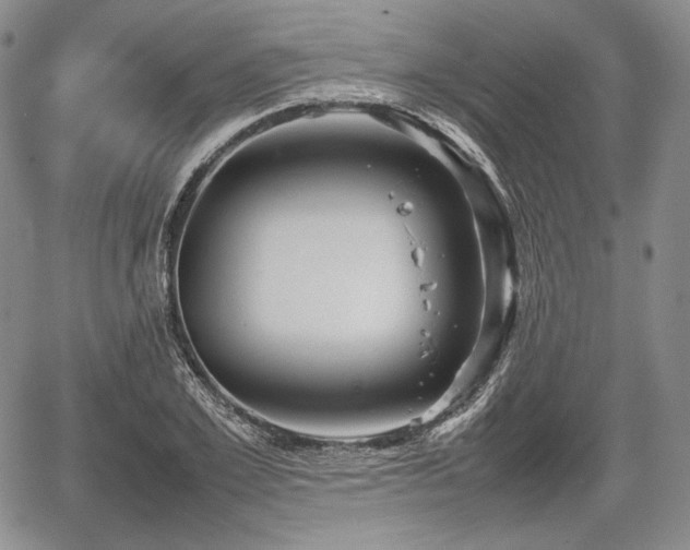 X0000067910981200604171334