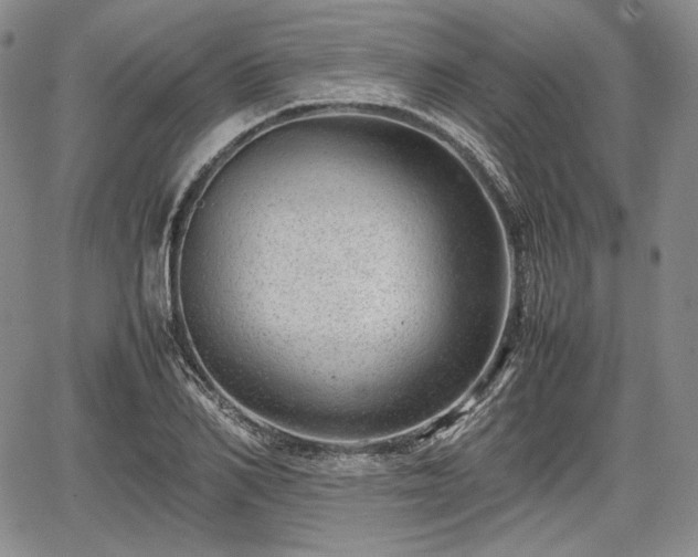 X0000067910982200604171334