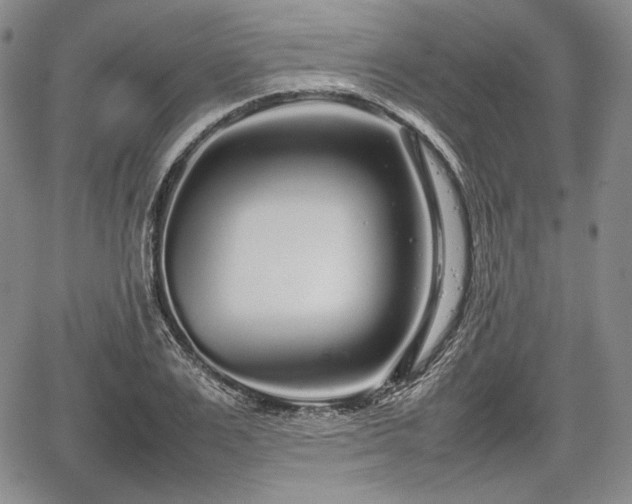 X0000067910983200604171334