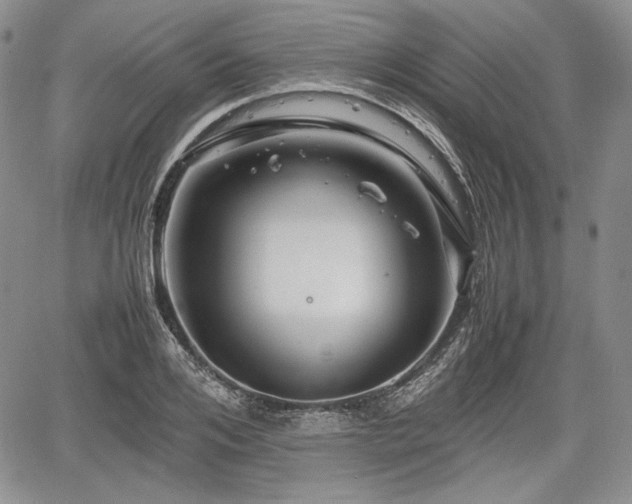 X0000067910984200604171334