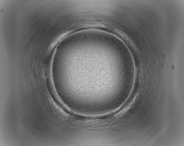 X0000067910985200604171334