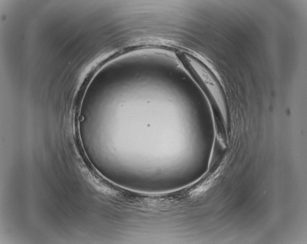 X0000067910987200604171334