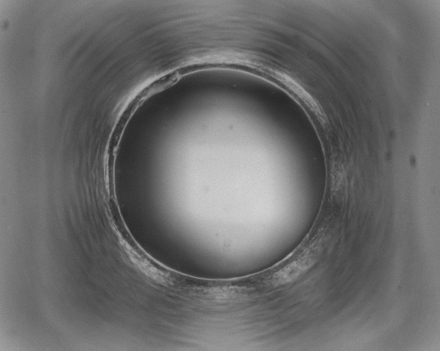 X0000067910988200604171334