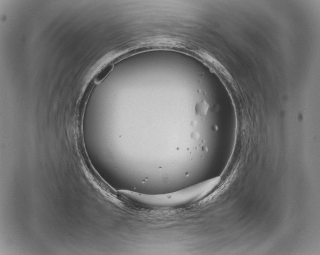 X0000067910989200604171334