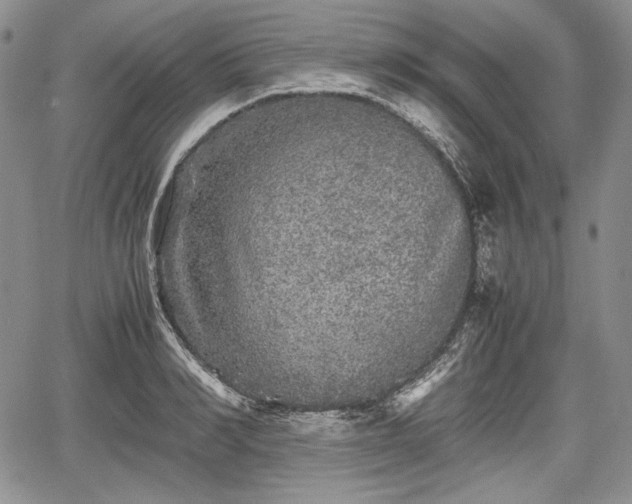 X0000067910990200604171334