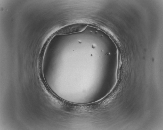 X0000067910991200604171334