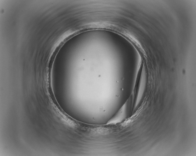 X0000067910992200604171334