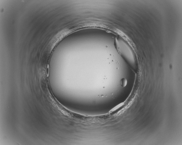 X0000067910993200604171334