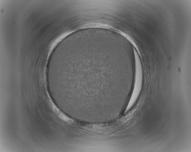 X0000067910995200604171334