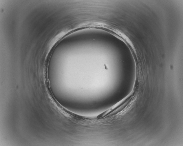 X0000067910997200604171334