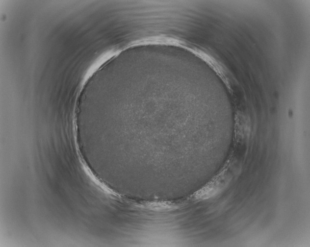 X0000067910998200604171334