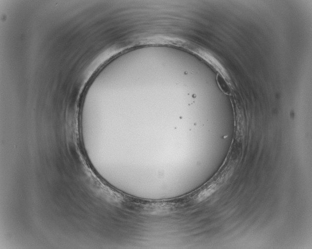 X0000067911000200604171334