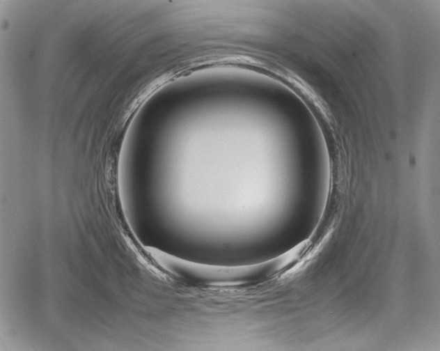 X0000067911001200604171334