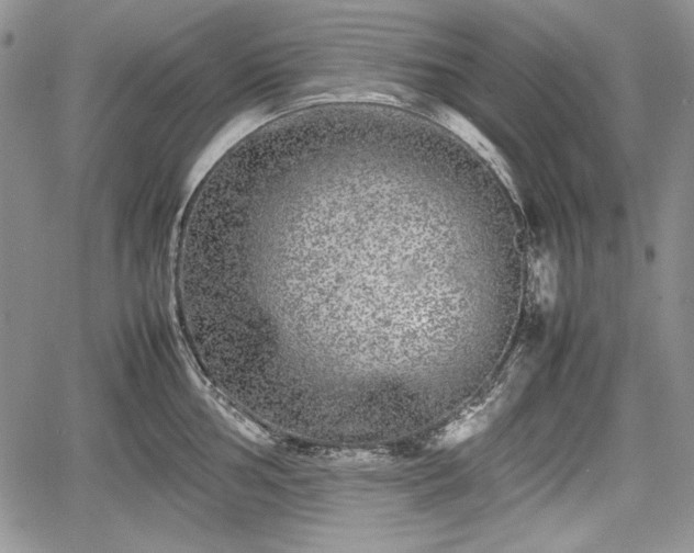 X0000067911002200604171334