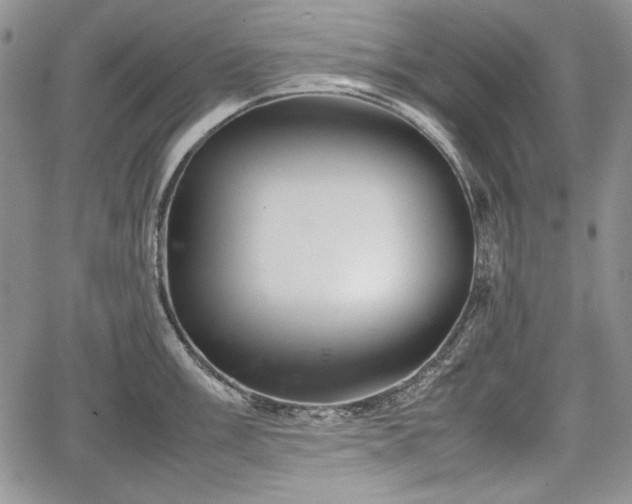 X0000067911003200604171334