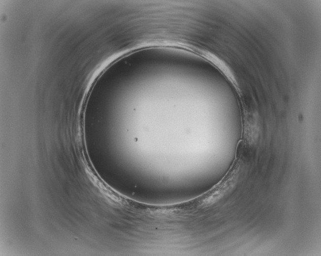 X0000067911004200604171334