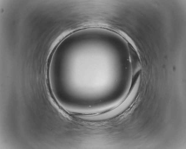 X0000067911005200604171334