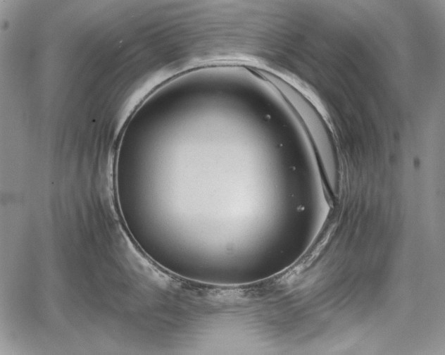 X0000067911006200604171334