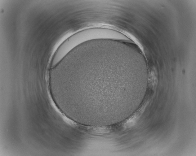 X0000067911007200604171334