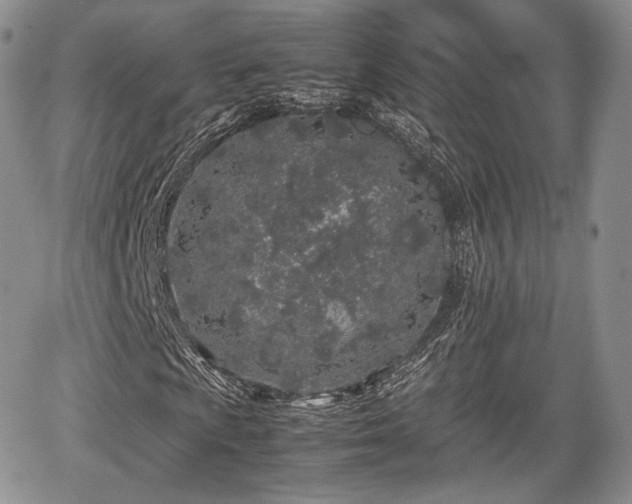 X0000067911009200604171333