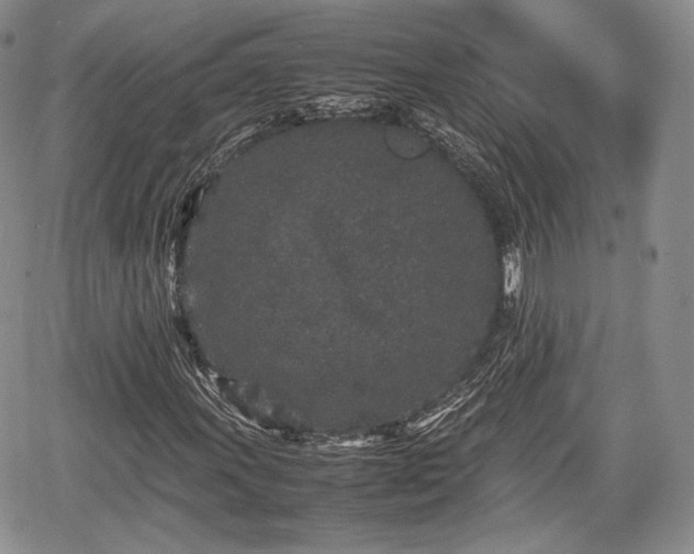 X0000067911011200604171333