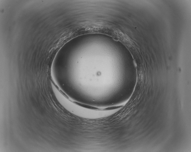 X0000067911012200604171333