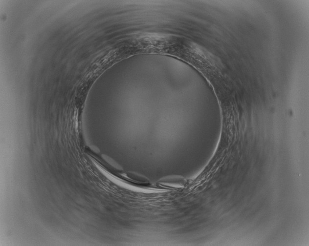 X0000067911013200604171333