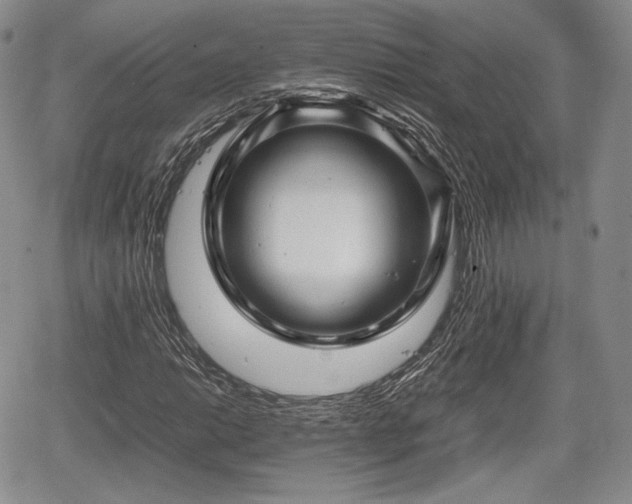 X0000067911014200604171333