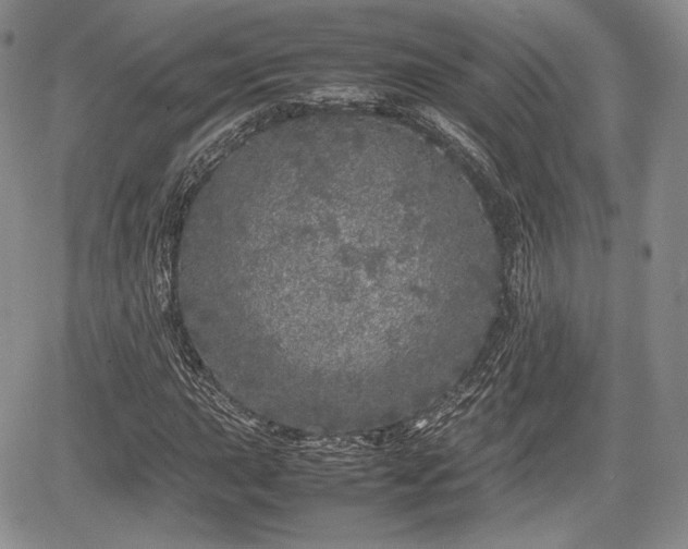 X0000067911015200604171333