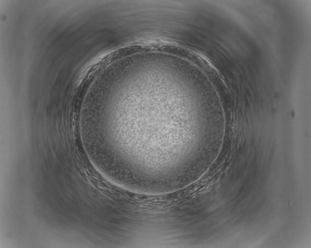 X0000067911016200604171333