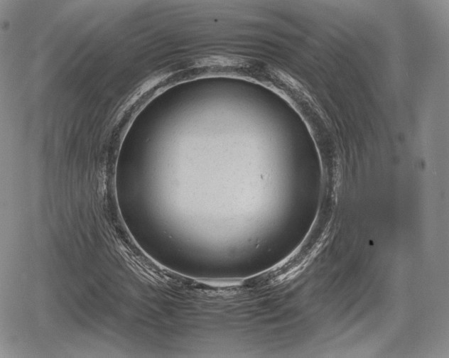 X0000067911017200604171333