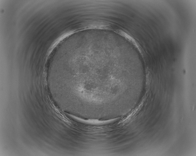 X0000067911019200604171333