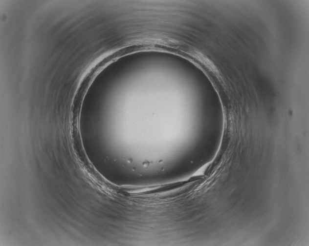 X0000067911020200604171333