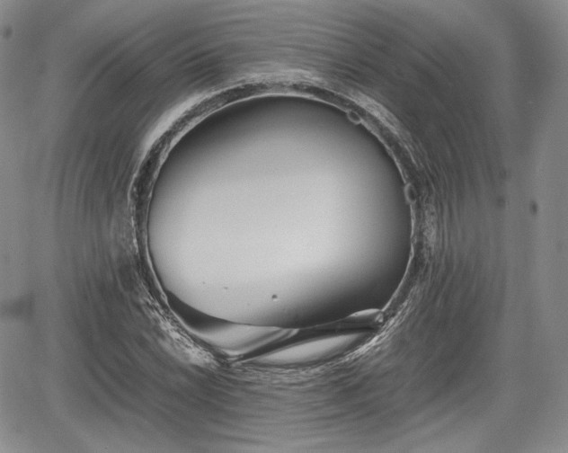 X0000067911022200604171333