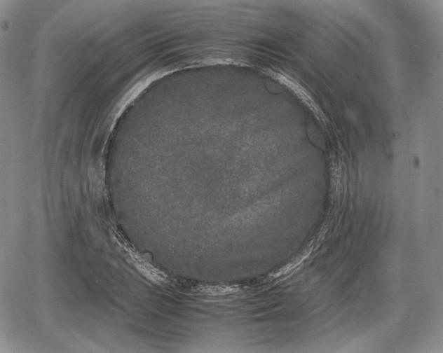 X0000067911023200604171333