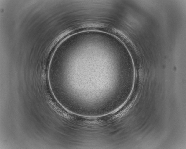 X0000067911025200604171333