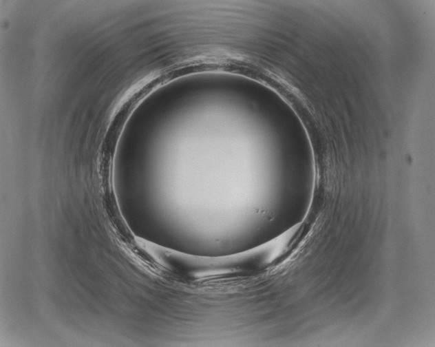 X0000067911026200604171333