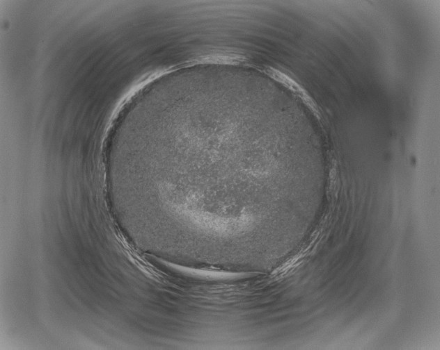 X0000067911027200604171333