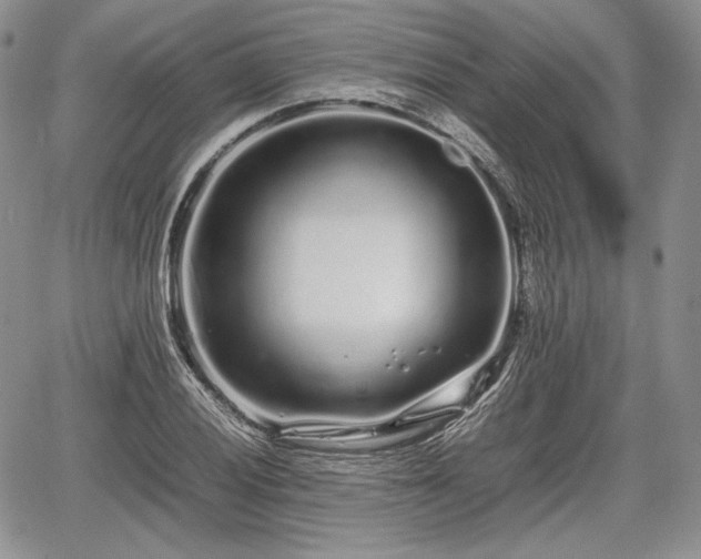 X0000067911028200604171333