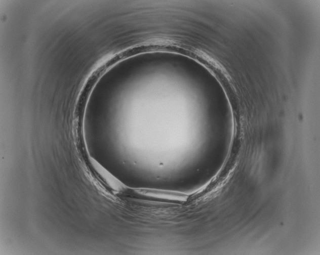 X0000067911029200604171333