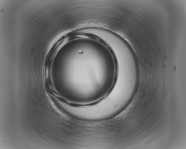 X0000067911030200604171333