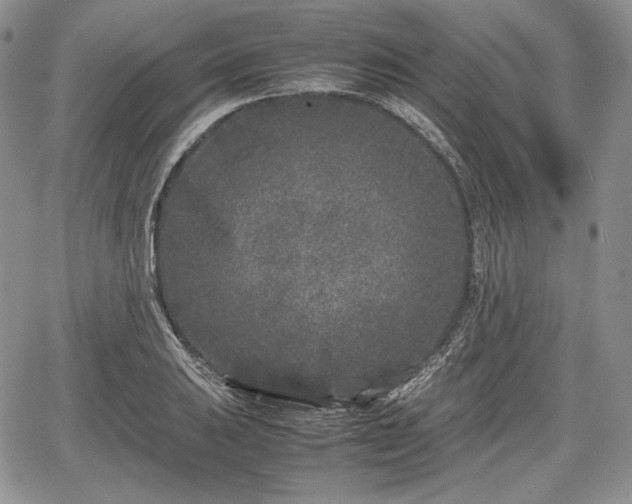 X0000067911031200604171333