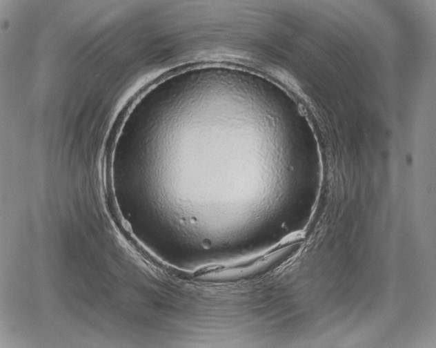 X0000067911032200604171333